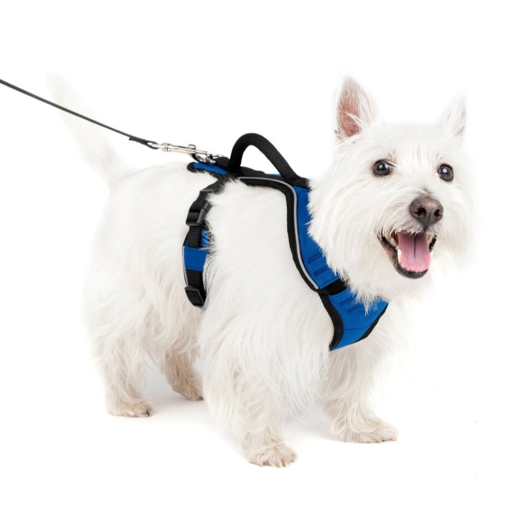 PetSafe EasySport Nylon Reflective Back Clip Dog Harness, Small
